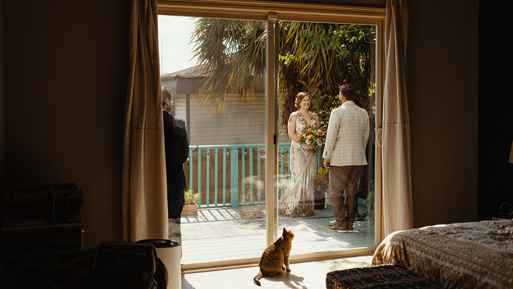Caitlin and Donald's cats watch as their "parents" tie the knot.