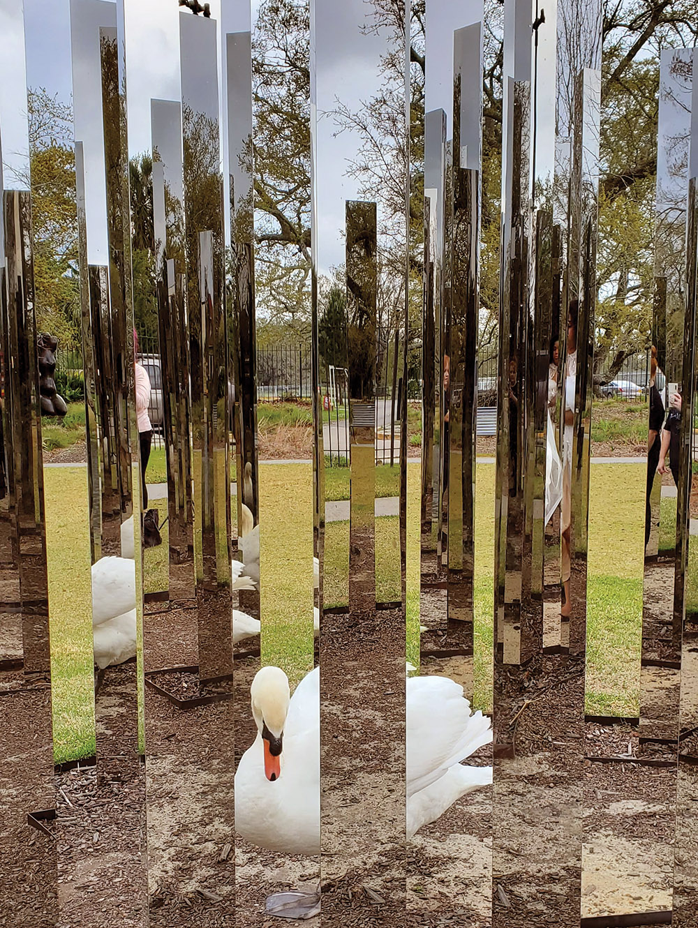 Swan in Mirror Labyrinth by Jeppe Hein