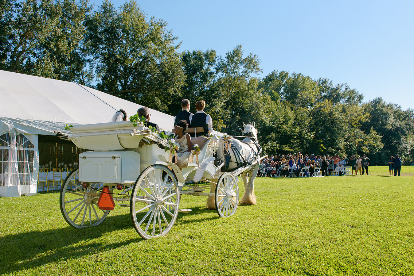 A horse drawn carriage carried Doliecha to the wedding ceremony.