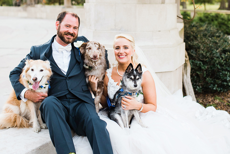 Kate and Jeremy pose for a wedding portrait with their dogs.