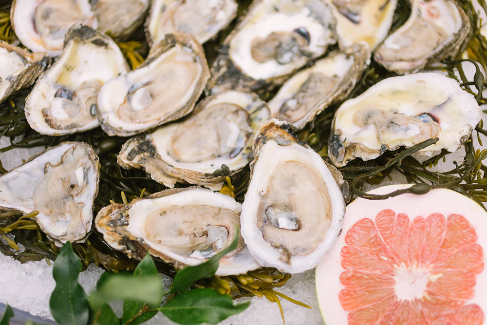 Oysters on the half shell | Photo: Sarah Alleman Photography