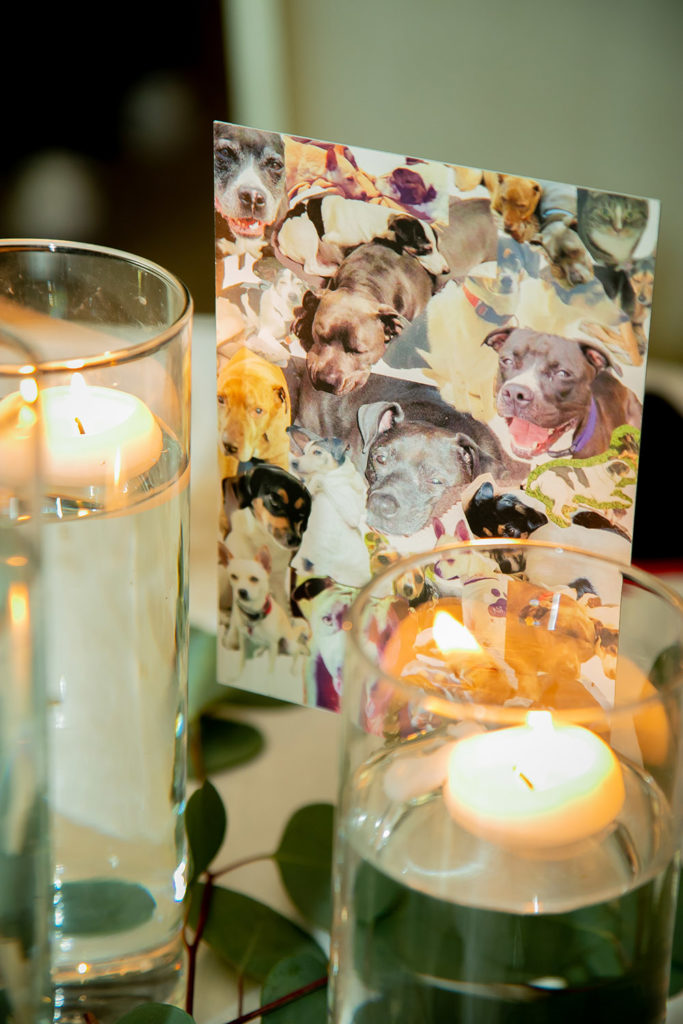 table numbers featuring rescue dog photos